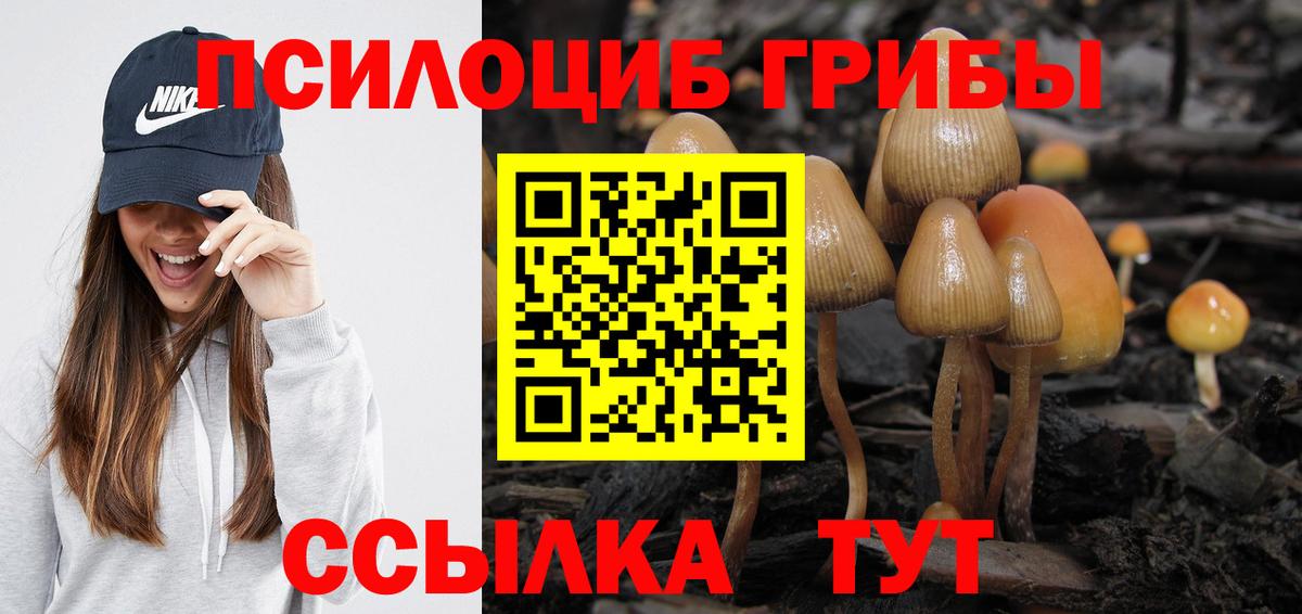 Галлюциногенные грибы мухоморы  Вход с VPN  Воронеж 