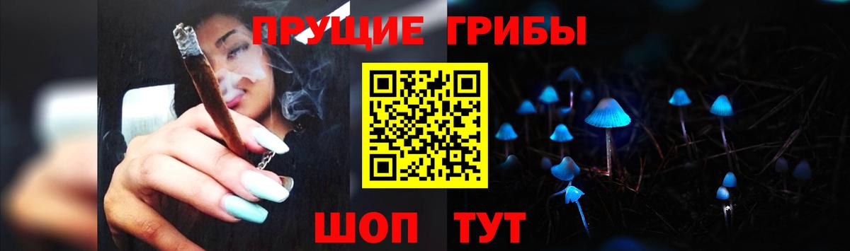 Псилоцибиновые грибы Psilocybe Воронеж